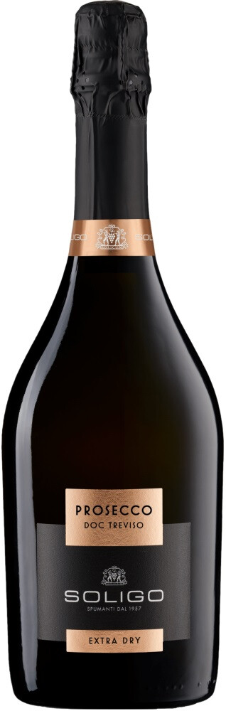 Просекко бар отзывы. Просекко тревизо брют. prosecco treviso extra dry. &quot;солиго&quot; просекко тревизо экстра драй. просекко док тревизо брют.