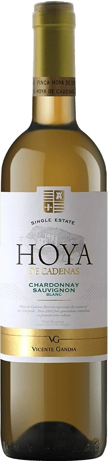 Вино Vicente Gandia, Hoya de Cadenas Blanco, Utiel-Requena DO, 2016