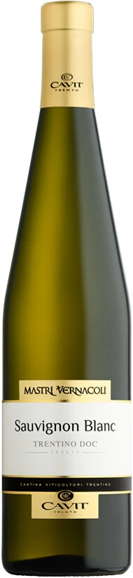 Вино Mastri Vernacoli Sauvignon Blanc, Trentino DOC, 2024
